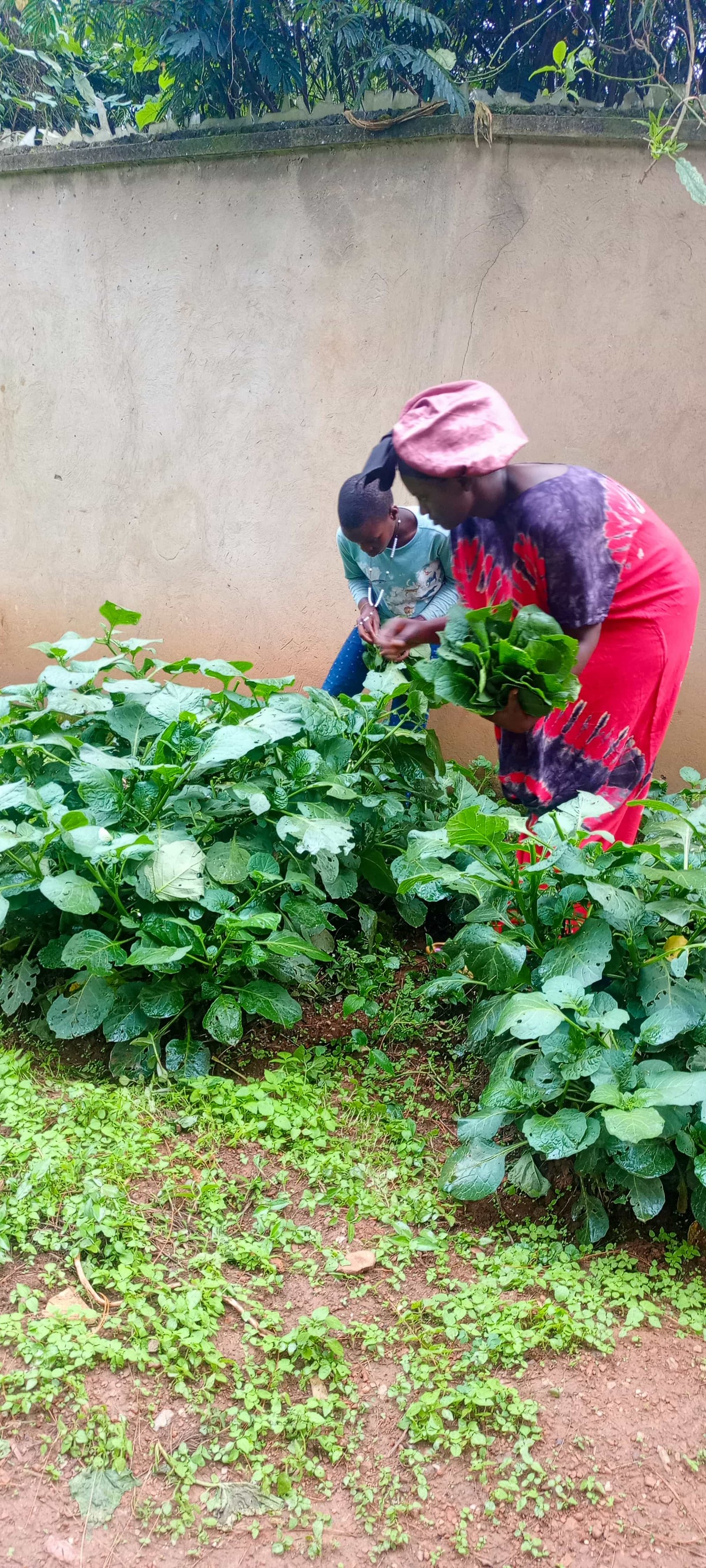 Small scale farming initiative